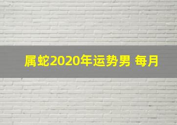 属蛇2020年运势男 每月